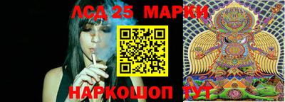 стаф Обнинск