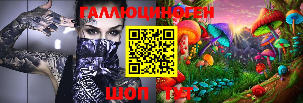 Сальск  Галлюциногенные грибы Psilocybine cubensis  Вход с VPN 