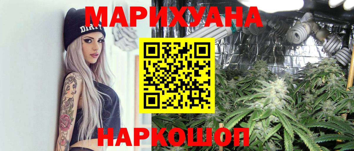 Бошки Шишки семена Сальск